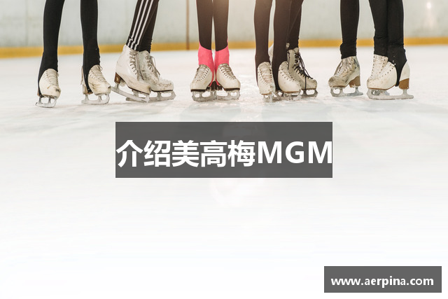 介绍美高梅MGM